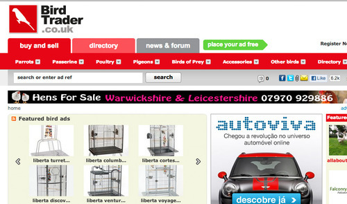 birdtrader.co.uk