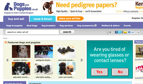 dogsandpuppies.co.uk