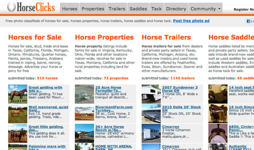 horseclicks.com