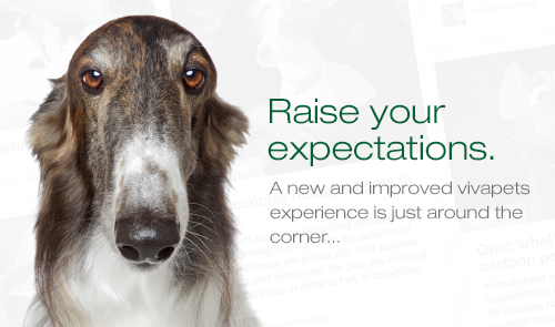 vivapets.com