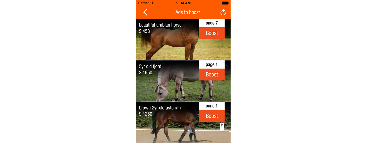 Boost Ads Horseclicks