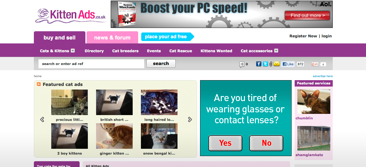 Kitten Ads