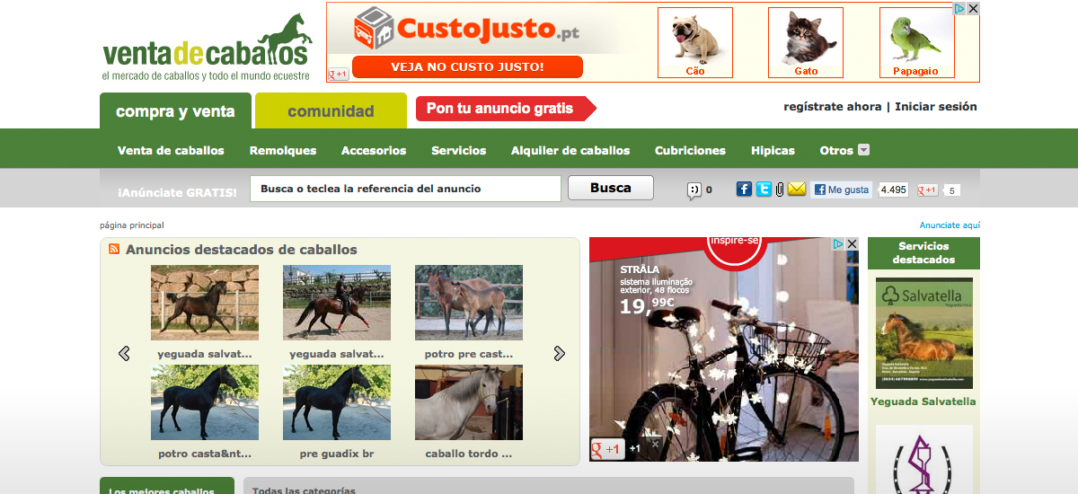 Venta de Caballos